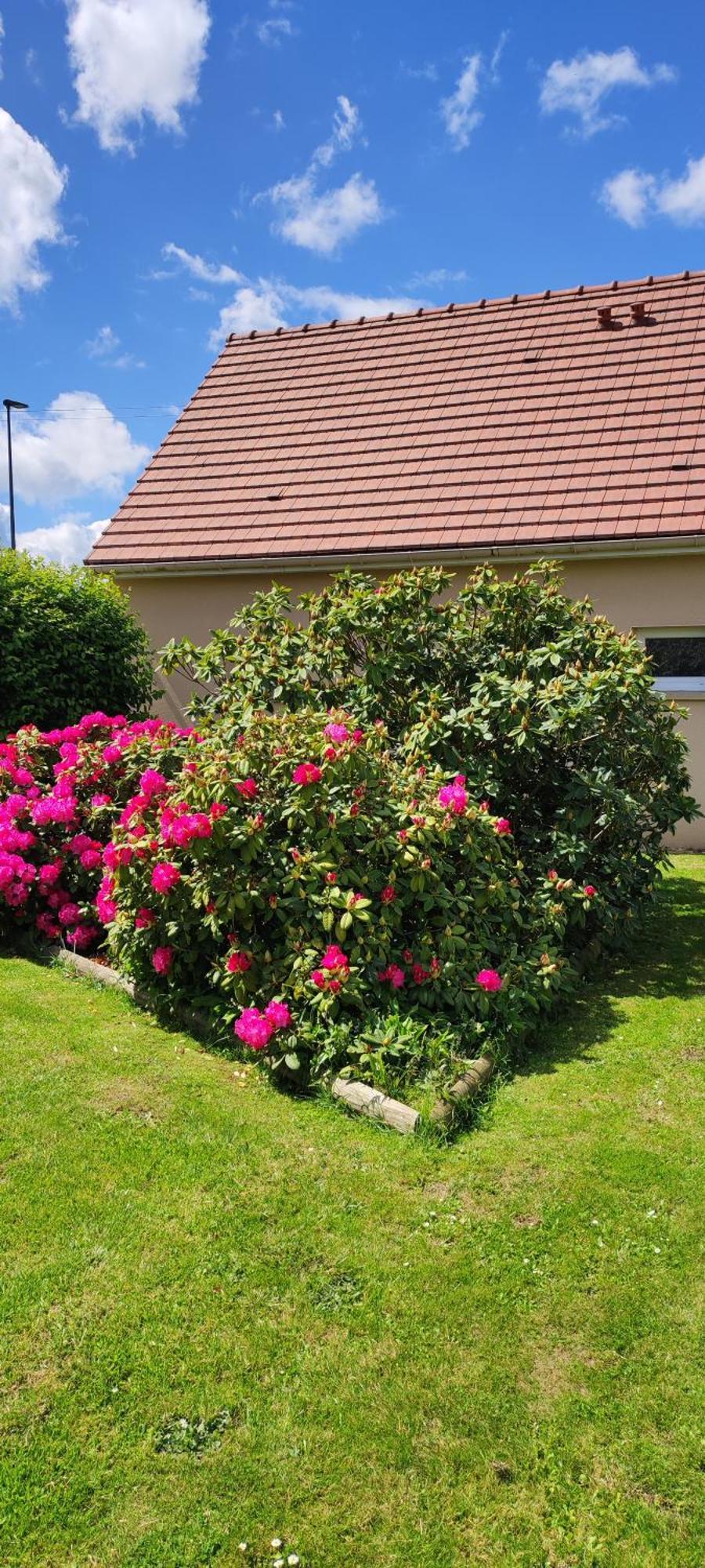 Loucelles Le Ptit Normand Entre Ville & Plages מראה חיצוני תמונה
